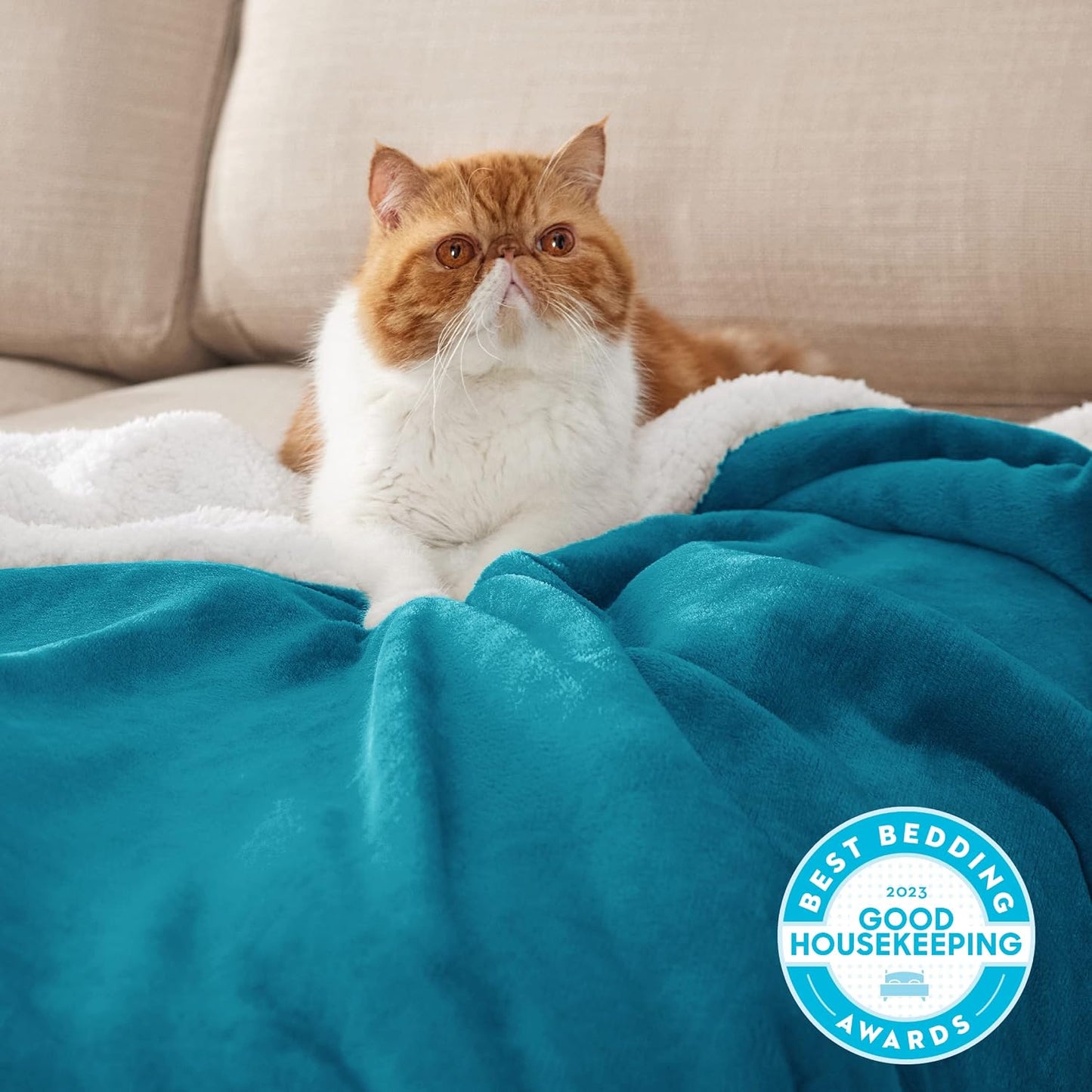 Bedsure GentleSoft Sherpa Fleece Throw Blanket