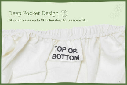 Organic Cotton Twin XL Sheets