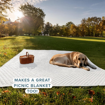 Bare Home Coverlet Set – Full/Queen